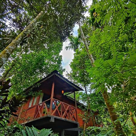 Wooden Cottages Glen Wayanad Meppādi Buitenkant foto