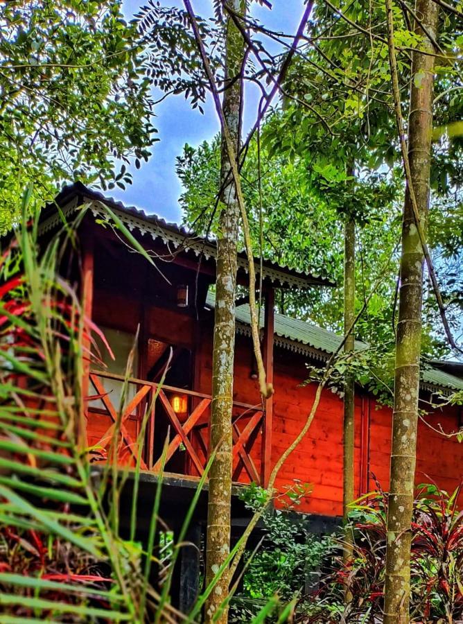 Wooden Cottages Glen Wayanad Meppādi Buitenkant foto