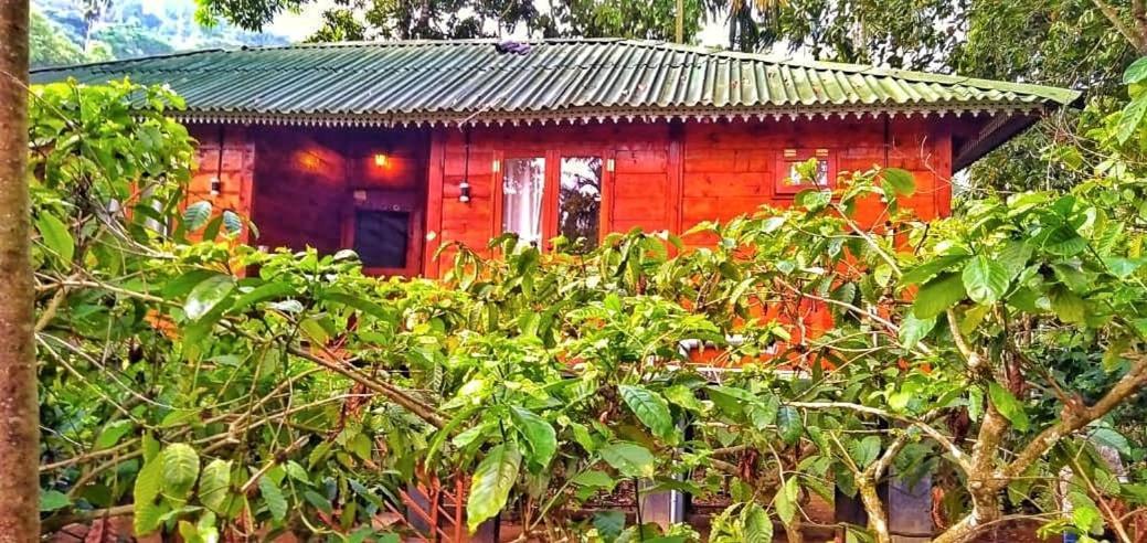 Wooden Cottages Glen Wayanad Meppādi Buitenkant foto