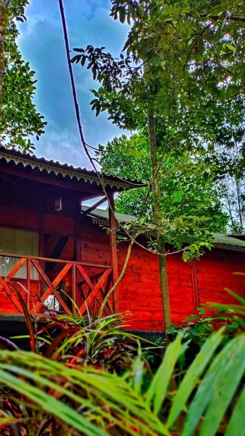 Wooden Cottages Glen Wayanad Meppādi Buitenkant foto