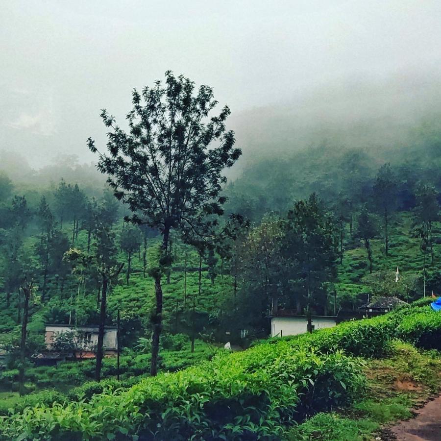 Wooden Cottages Glen Wayanad Meppādi Buitenkant foto