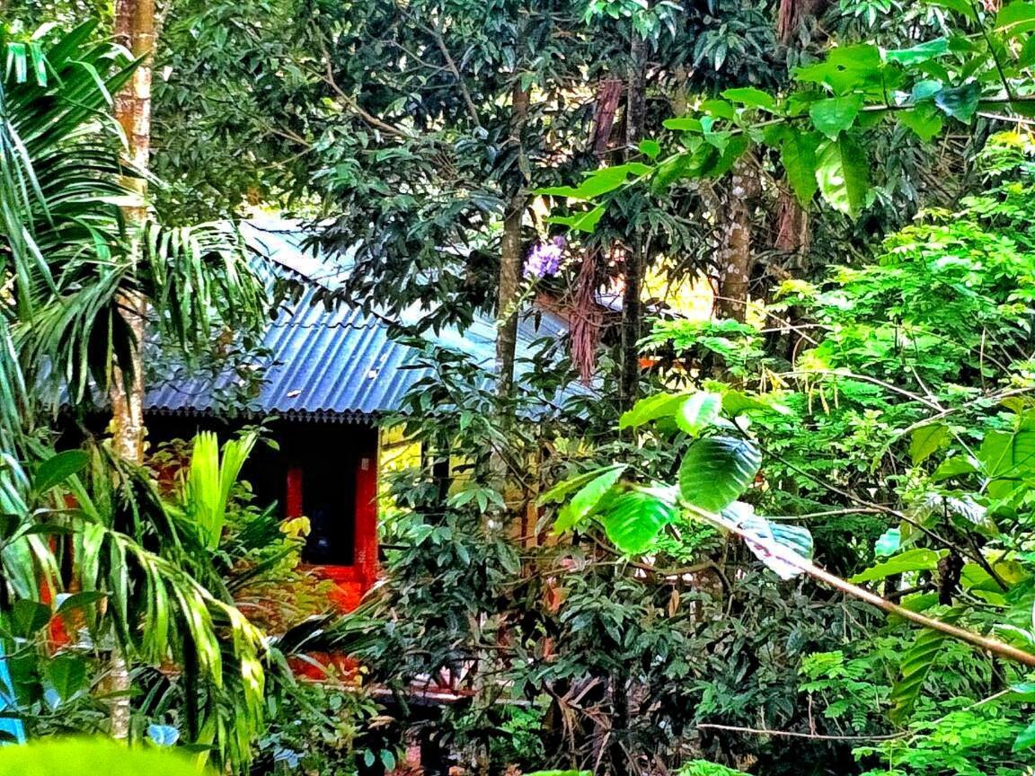Wooden Cottages Glen Wayanad Meppādi Buitenkant foto