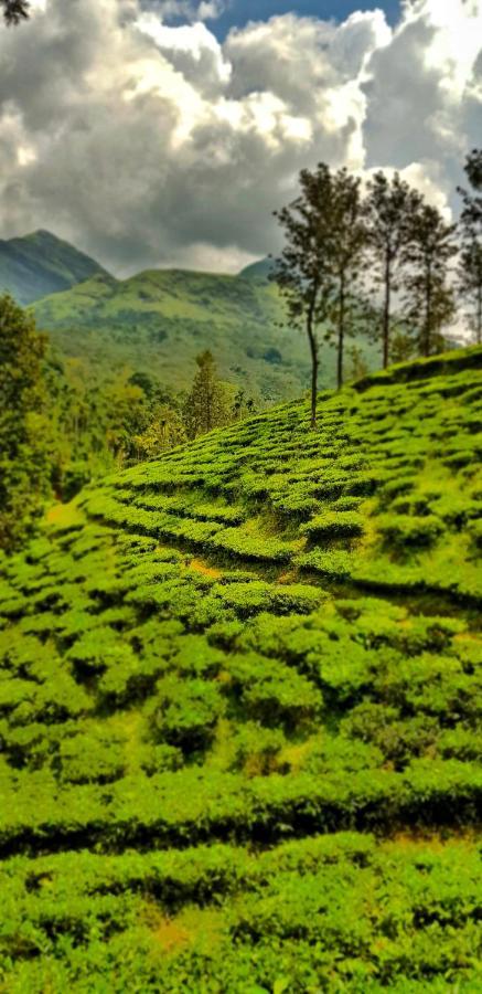 Wooden Cottages Glen Wayanad Meppādi Buitenkant foto
