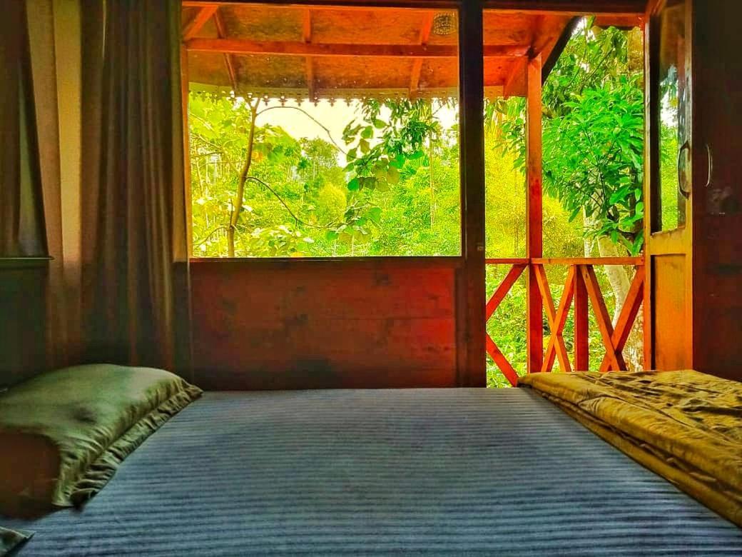 Wooden Cottages Glen Wayanad Meppādi Buitenkant foto
