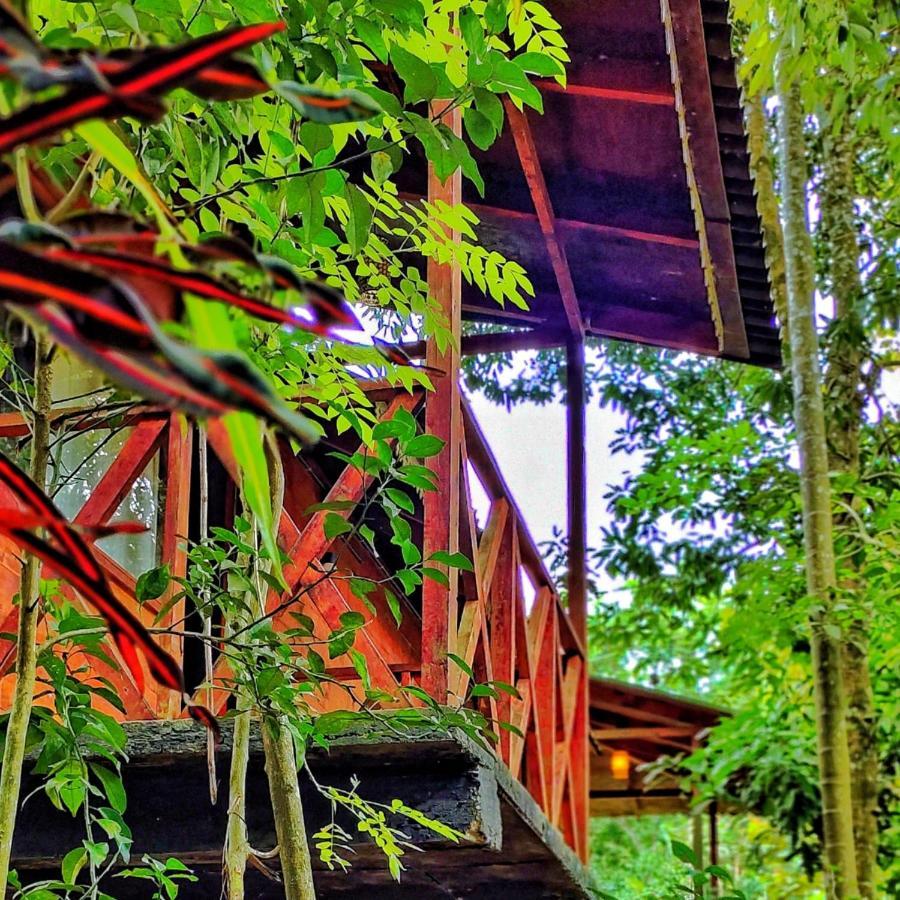 Wooden Cottages Glen Wayanad Meppādi Buitenkant foto