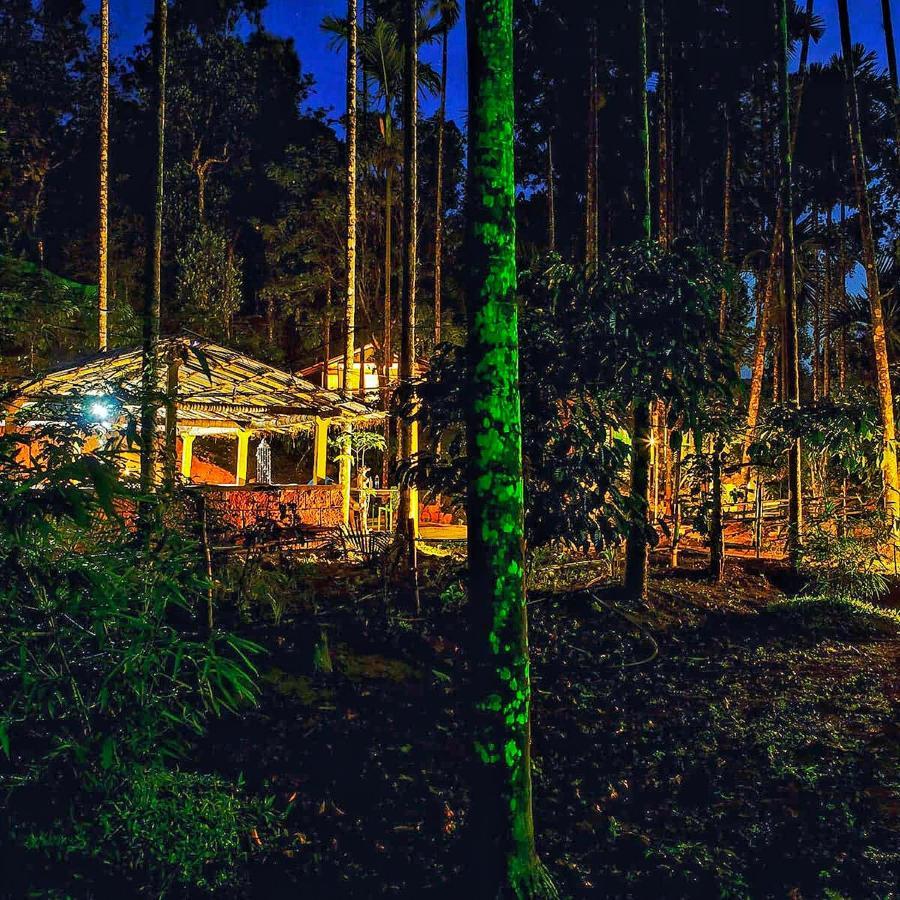 Wooden Cottages Glen Wayanad Meppādi Buitenkant foto