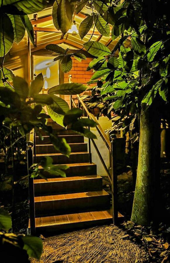 Wooden Cottages Glen Wayanad Meppādi Buitenkant foto