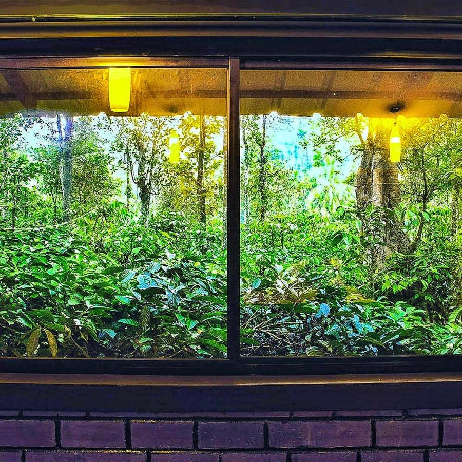 Wooden Cottages Glen Wayanad Meppādi Buitenkant foto