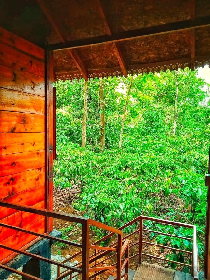 Wooden Cottages Glen Wayanad Meppādi Buitenkant foto
