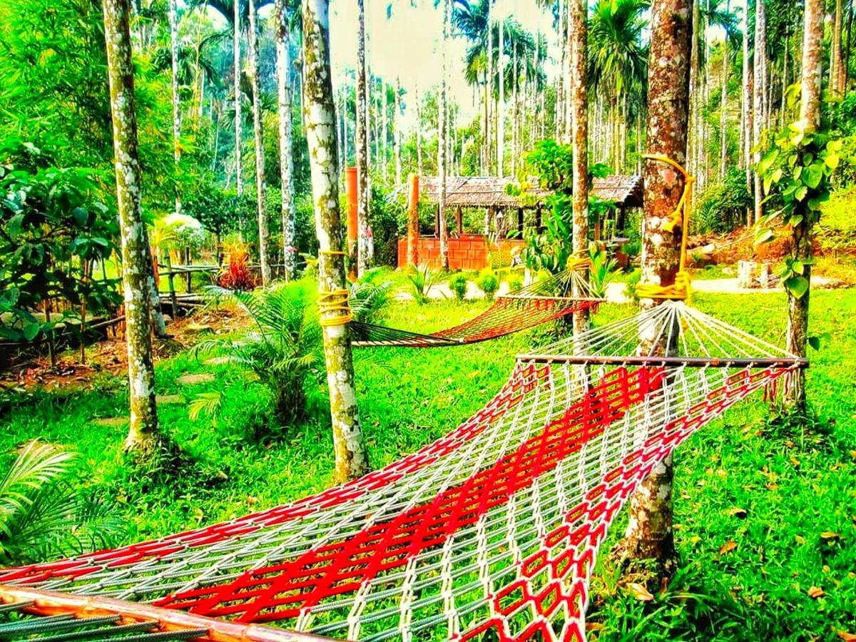 Wooden Cottages Glen Wayanad Meppādi Buitenkant foto
