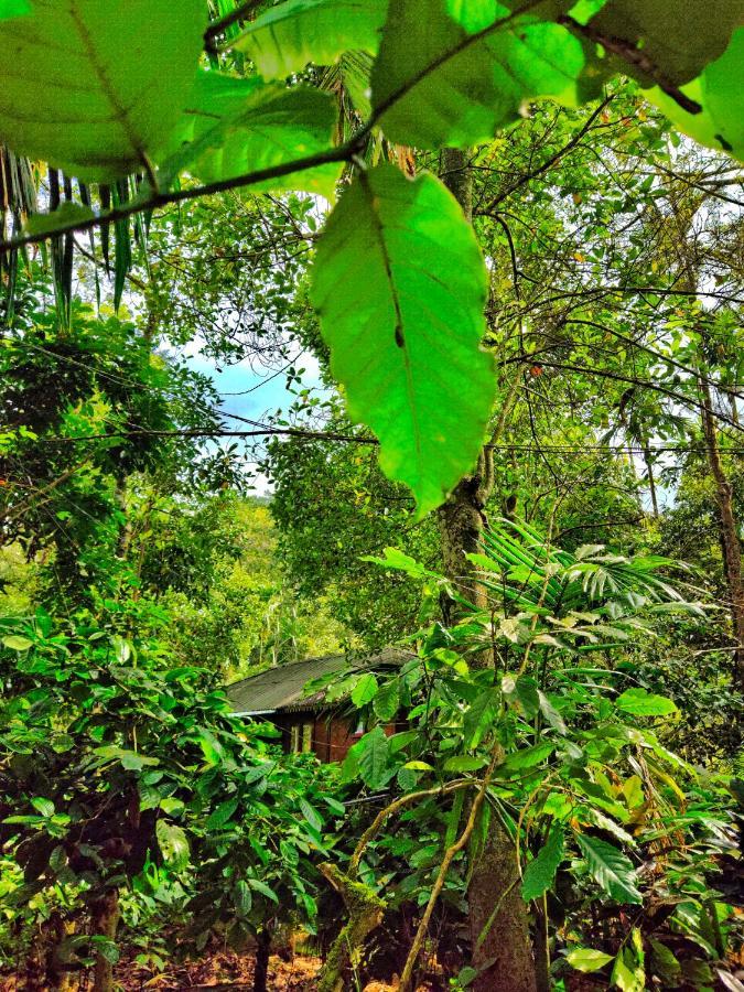 Wooden Cottages Glen Wayanad Meppādi Buitenkant foto