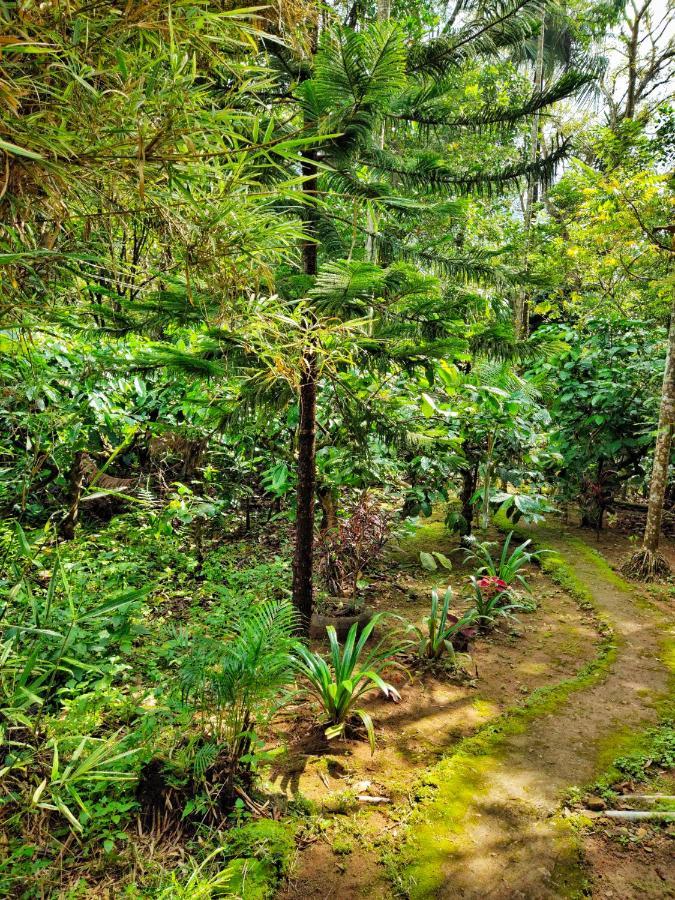 Wooden Cottages Glen Wayanad Meppādi Buitenkant foto