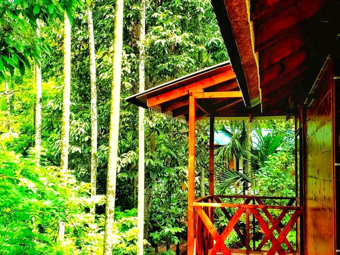 Wooden Cottages Glen Wayanad Meppādi Buitenkant foto