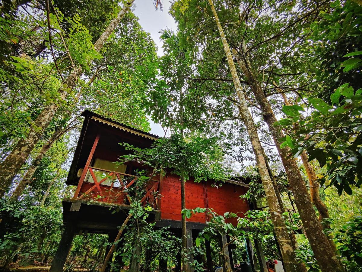 Wooden Cottages Glen Wayanad Meppādi Buitenkant foto