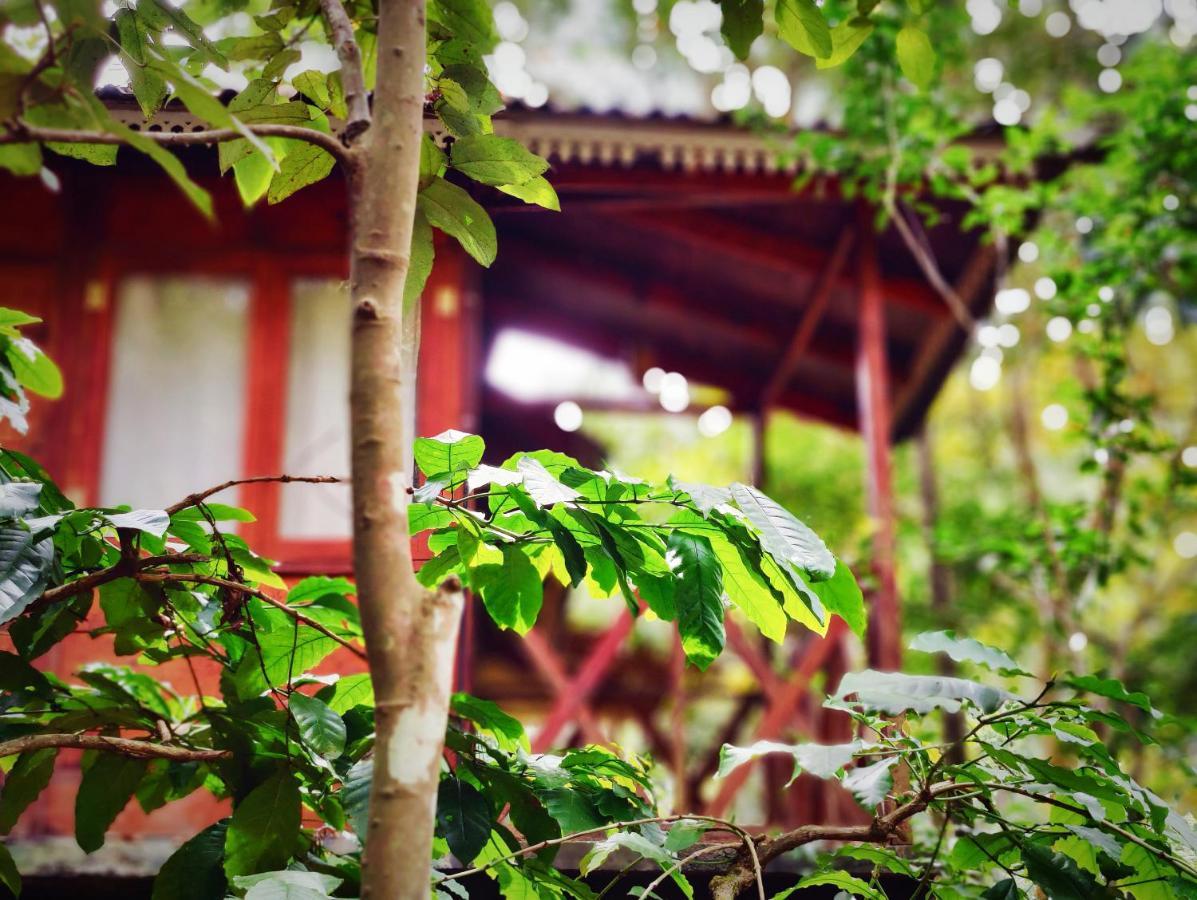 Wooden Cottages Glen Wayanad Meppādi Buitenkant foto