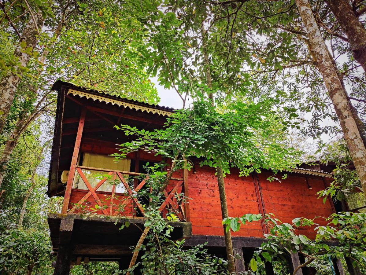 Wooden Cottages Glen Wayanad Meppādi Buitenkant foto