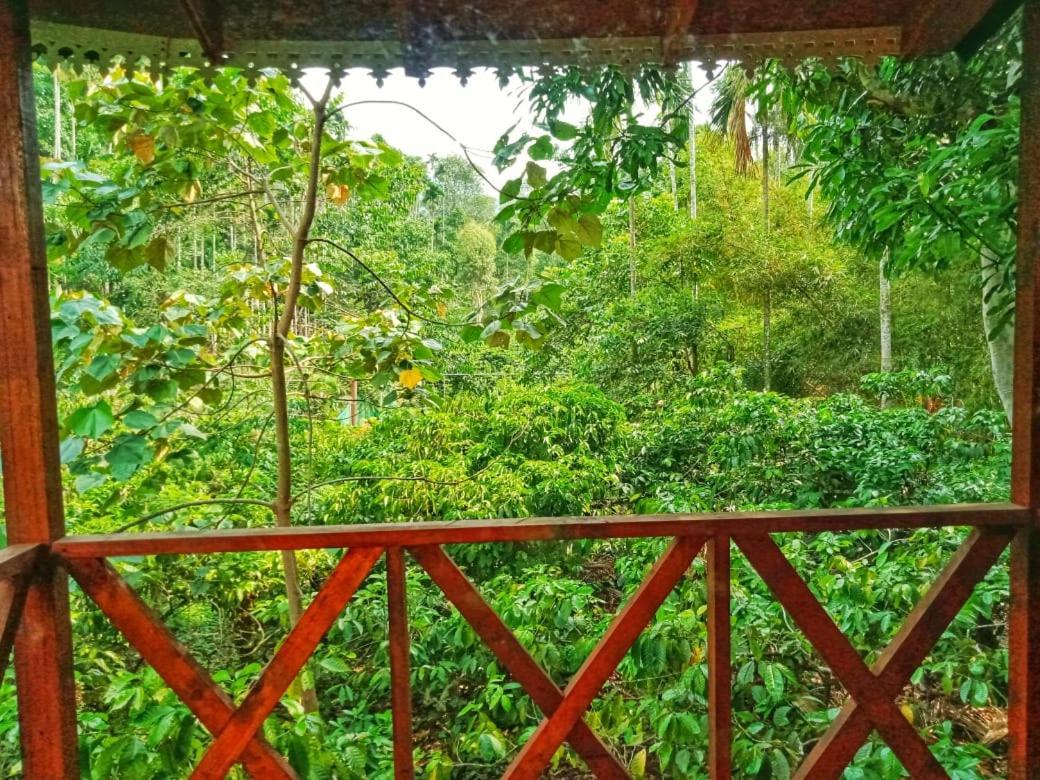 Wooden Cottages Glen Wayanad Meppādi Buitenkant foto