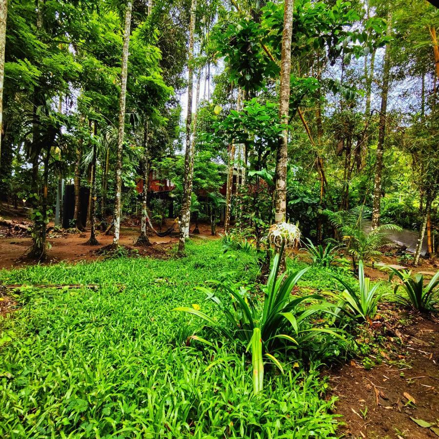 Wooden Cottages Glen Wayanad Meppādi Buitenkant foto