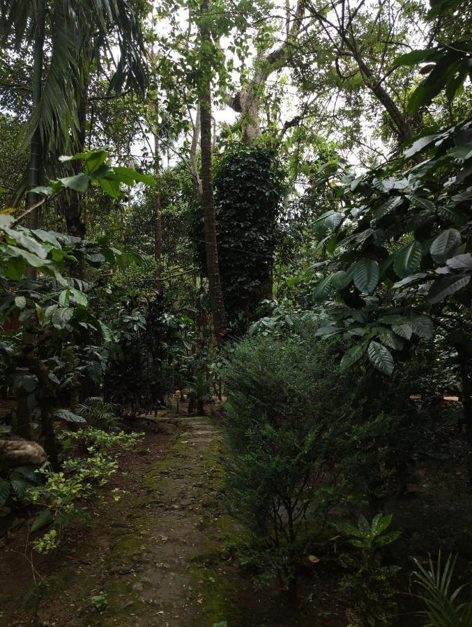 Wooden Cottages Glen Wayanad Meppādi Buitenkant foto