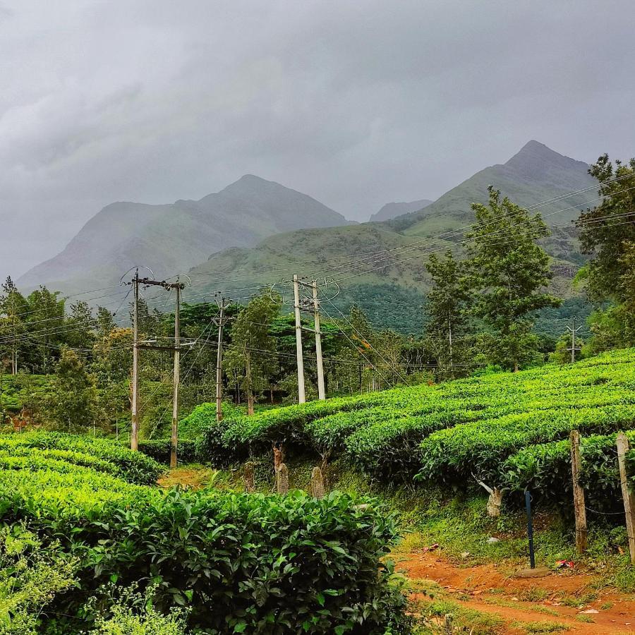 Wooden Cottages Glen Wayanad Meppādi Buitenkant foto