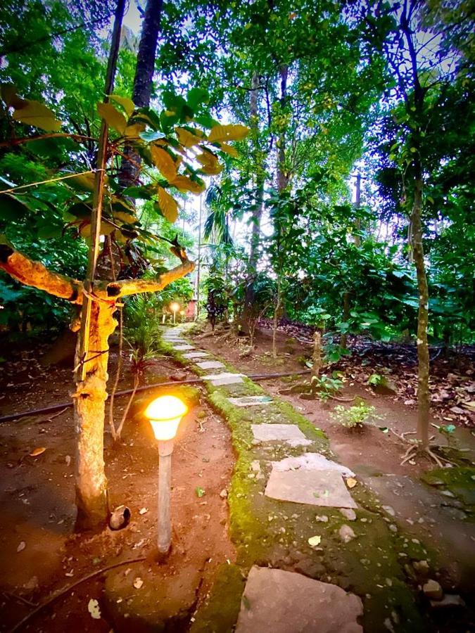 Wooden Cottages Glen Wayanad Meppādi Buitenkant foto