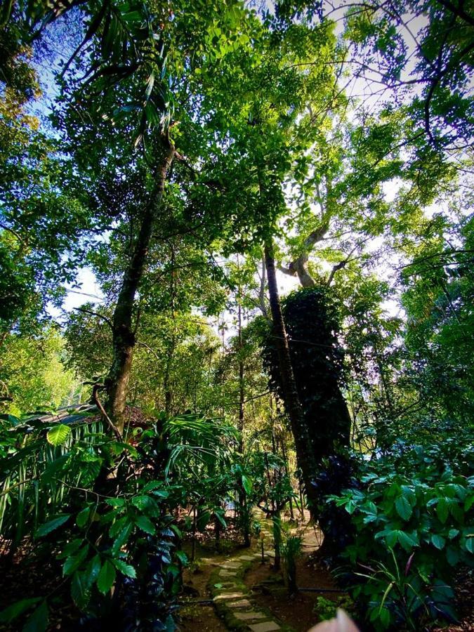 Wooden Cottages Glen Wayanad Meppādi Buitenkant foto