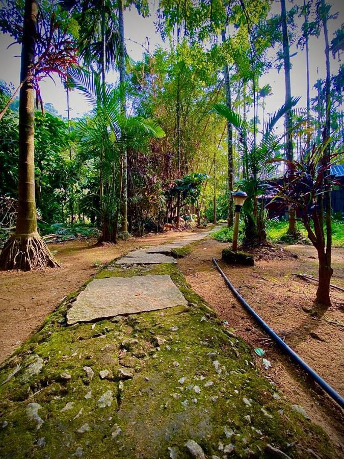 Wooden Cottages Glen Wayanad Meppādi Buitenkant foto