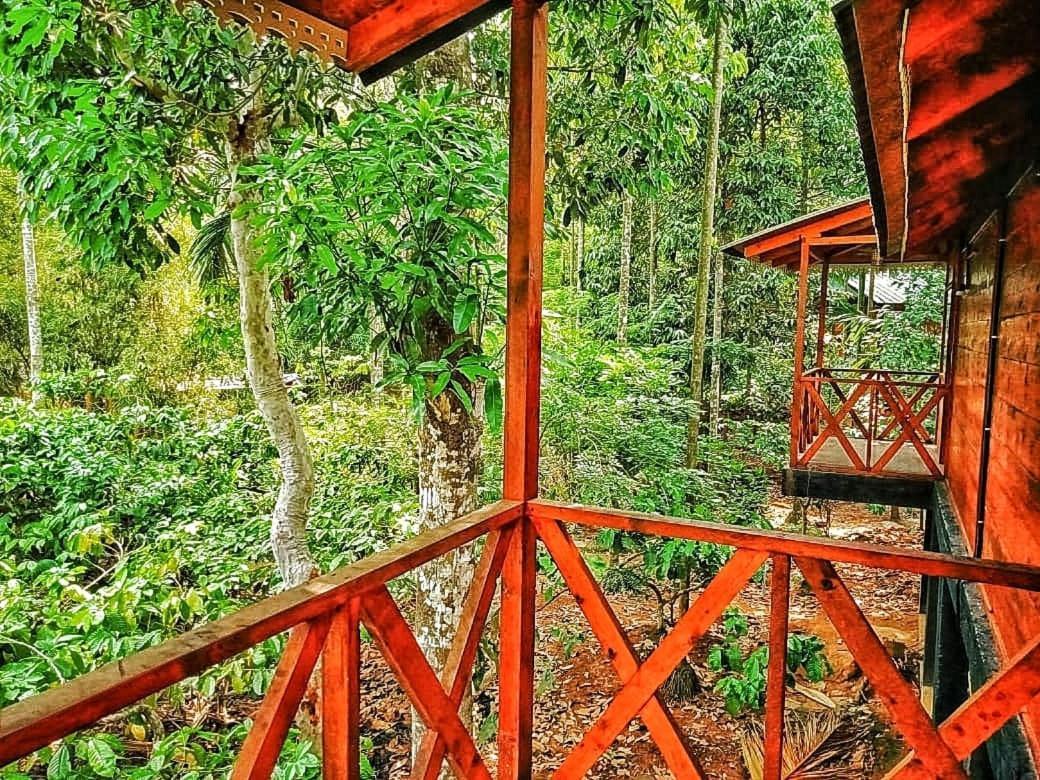 Wooden Cottages Glen Wayanad Meppādi Buitenkant foto