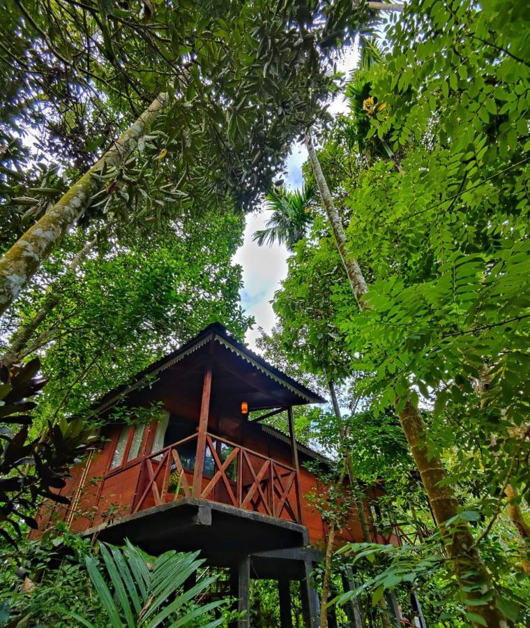 Wooden Cottages Glen Wayanad Meppādi Buitenkant foto