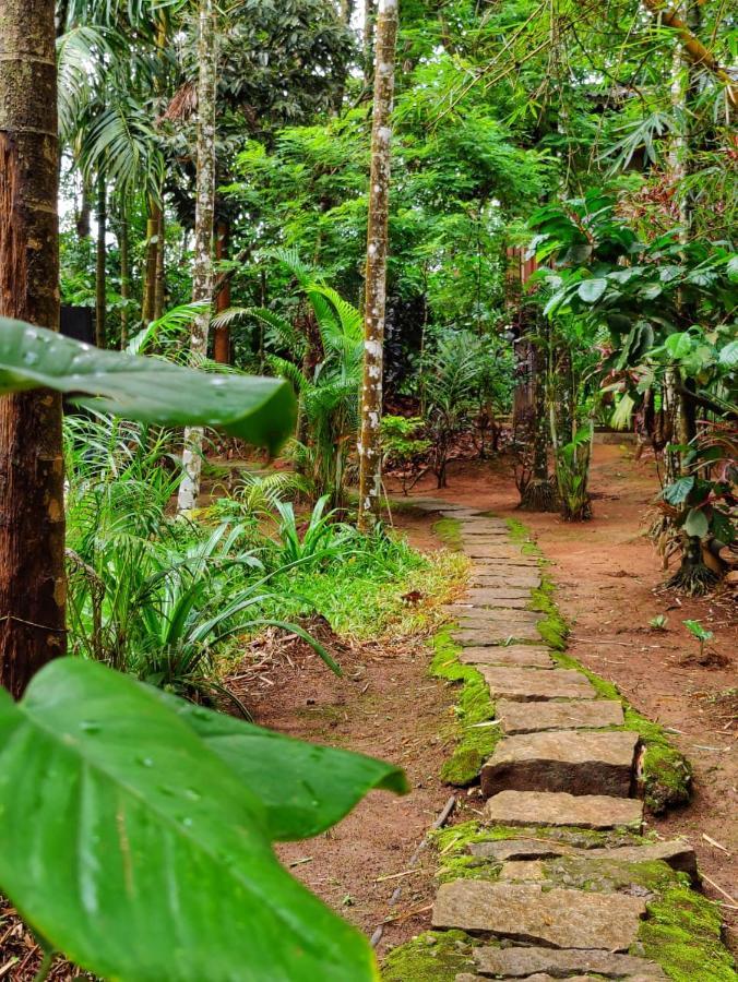 Wooden Cottages Glen Wayanad Meppādi Buitenkant foto